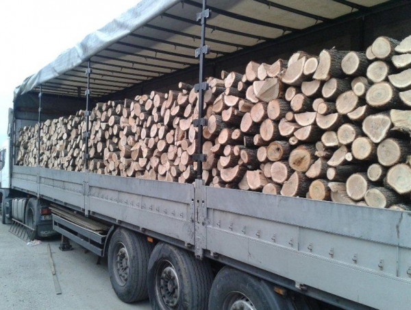 Wholesale/import of firewood, pellets, charcoal