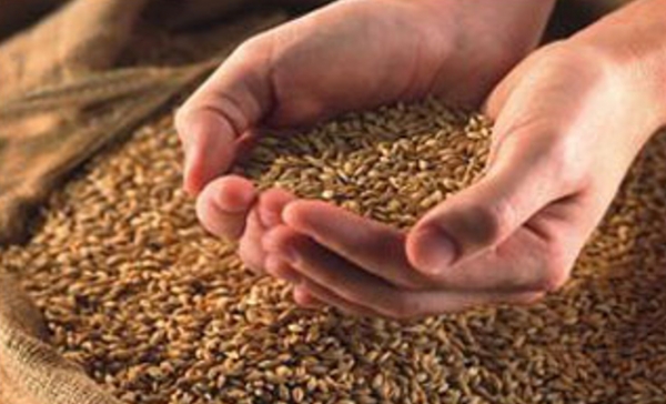 Import feed company/wholesale
